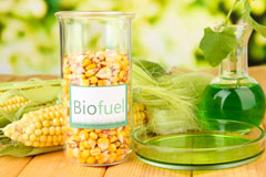 Baginton biofuel availability