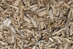 biomass boilers Baginton